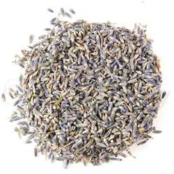 Lavender Super Blue (French Select)